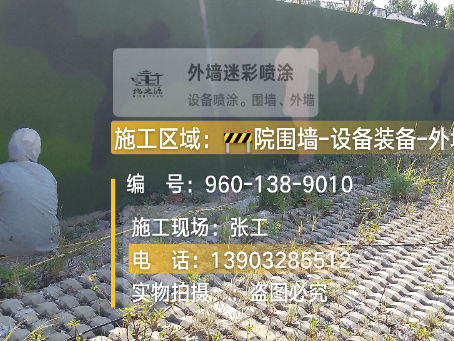 儋州外墙迷彩漆材料价约 45-60 元 /k