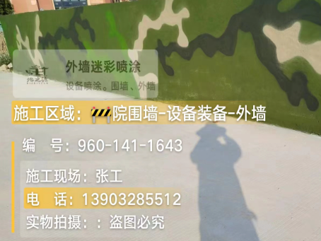 儋州 迷彩漆喷涂价格（按平方米计费）
